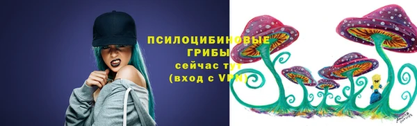 марки lsd Билибино